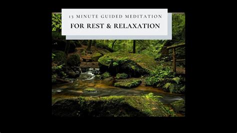 13 Minute Guided Forest Meditation For Relaxation Youtube