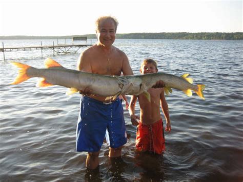 2018 pike & muskie guide buy a copy. MuskieFIRST | Big muskies bite other big muskies » General ...