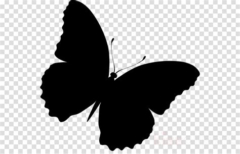 112 Butterfly Silhouette Svg Svg Png Eps Dxf File