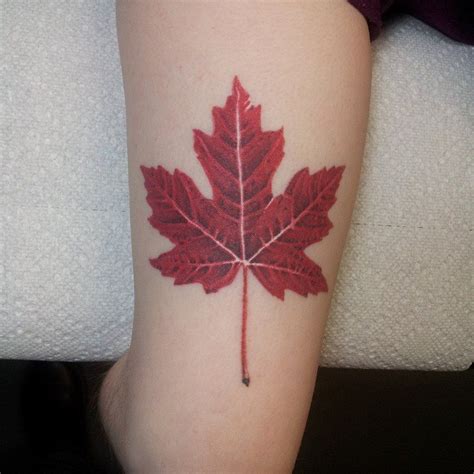 Pin By Carol Troughton On Tattoos Tattoos With Meaning Maple Leaf