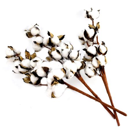 gracie oaks artificial filler 3 piece cotton stems set and reviews wayfair