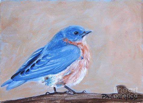 Bluebird Painting By Pauline Ross Fine Art America