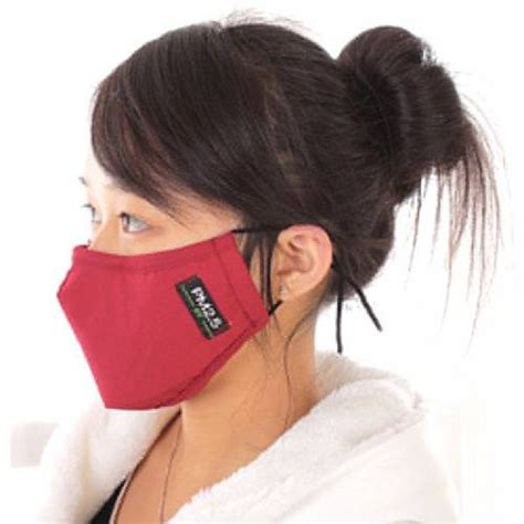 Zwzcyz 2014 New Unisex Adult Pm 25 Pollen Dust Mask