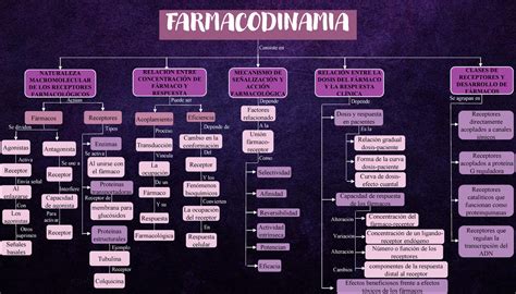 Mapa Conceptual De La Farmacodinamia Farmacodinamia Representaci N