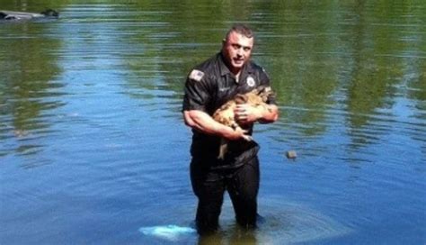 Brave Cop Jumps Into A Lake To Save A Drowning Chihuahua The Dodo