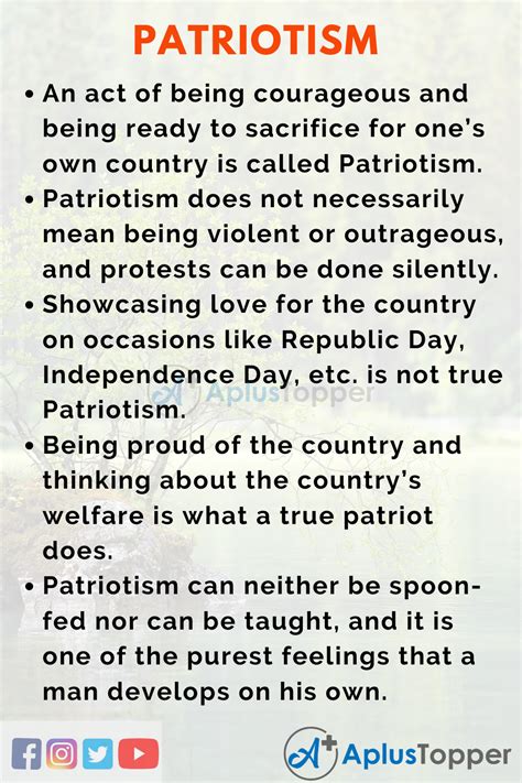 What Patriotism Means To Me Essay Free Essay What Patriotism Means