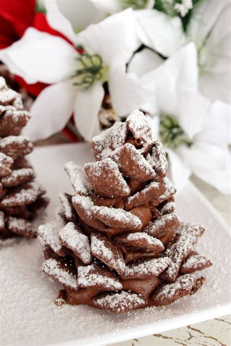 Chocolate Pine Cones With Peanut Butter Lady And The Blog