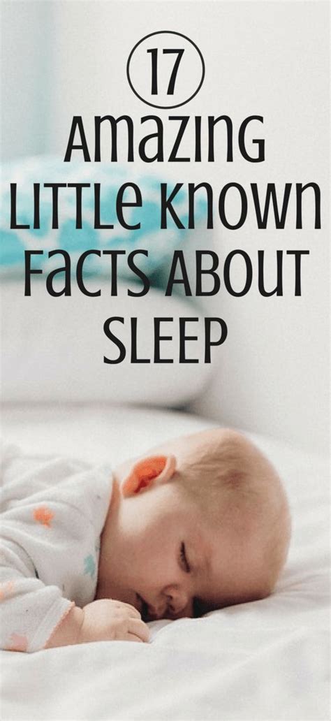 Top 17 Amazing Little Known Facts About Sleep These Surprising Facts