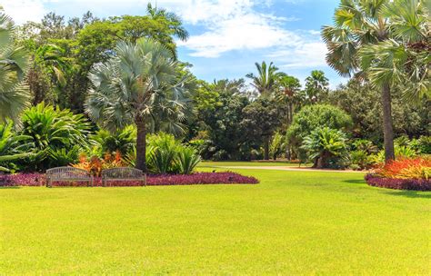 Fairchild Tropical Botanic Garden The Complete Guide