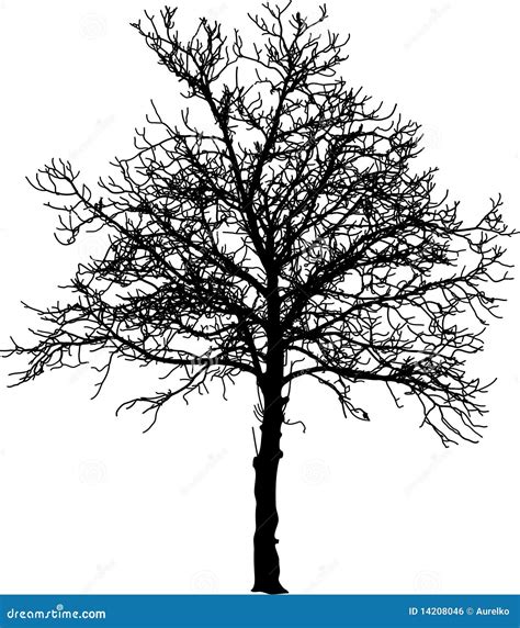 Naked Tree Stock Vector Illustration Of Black Pattern 14208046