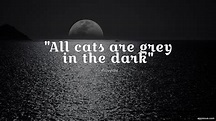 All cats are grey in the dark - quotewis.com