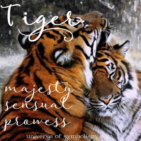 Tiger Symbolism And Meaning Tiger Spirit And Totem Animal Guidance