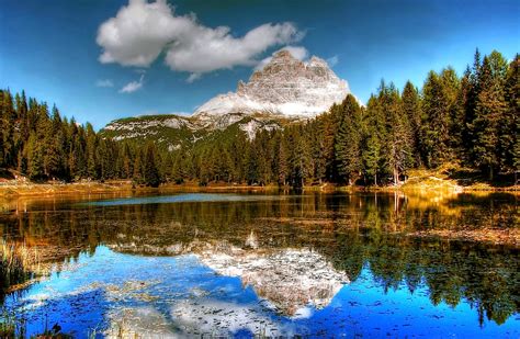 Fotos Gratis Paisaje árbol Naturaleza Bosque Desierto Montaña