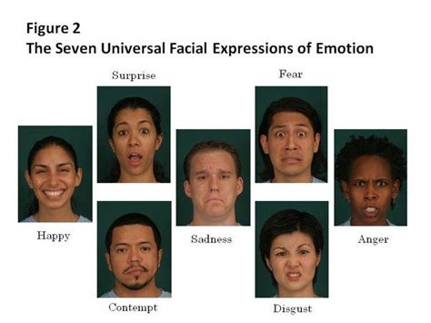 7 Universal Facial Expressions Of Emotion Emotion Recognition Facial
