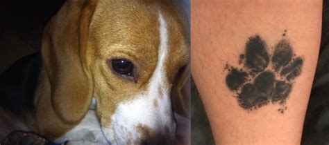 27 Of The Best Beagle Dog Tattoo Ideas Ever Petpress