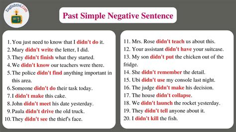 60 Sentences Example In Past Simple Tense Englishtivi