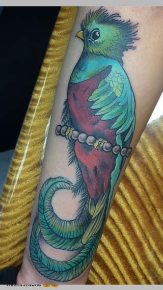 guatemalan quetzal bird gf got her first tattoo looking for a critique good bad whats done