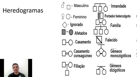 Heredogramas Genealogias Youtube