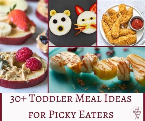 Toddler Meals For Picky Eaters 30 Quick And Easy Toddler Recipes