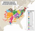 Periodical Cicadas 2024 Usa States - Nina Teresa