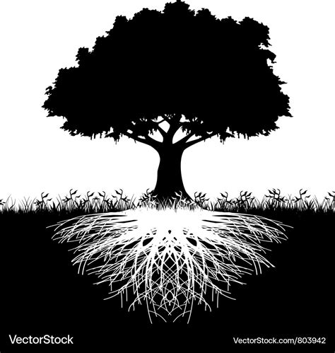 Tree Roots Silhouette Stock