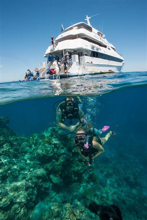 Cairns Snorkel Tour Dive Helicopter Great Barrier Reef Deal Cairns Reef Trip