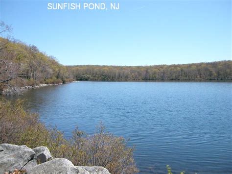 New Jersey Swimming Holes And Hot Springs Rivers