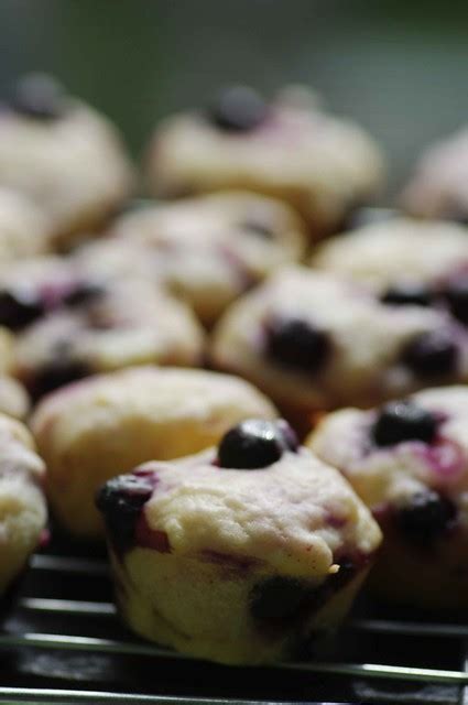 Photo A Day Mini Blueberry Lemon Muffins