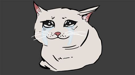 Sad Face Cat Meme