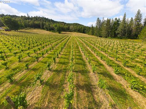 Umpqua Valley Winery And Vineyard For Sale Vinesmart