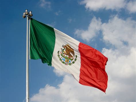 violinist ausblenden zuhause cómo es la bandera de méxico gelegentlich dachfenster die stadt