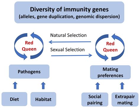 Endless Forms Of Sexual Selection Peerj