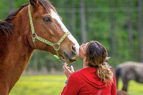 Horse And Owner Bonding Photograph By Tj Baccari Pixels