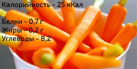 Вареная морковь на диете Вареная морковь. Калорийность на 100 грамм, в 1 шт, польза, вред для Вареная морковь. Калорийность на 100 грамм, в 1 шт, польза, вред для Вареная морковь на диете