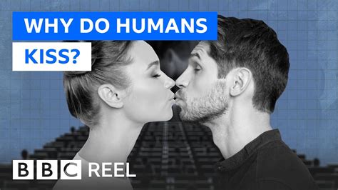 Why Do Humans Kiss On The Lips Lipstutorial Org