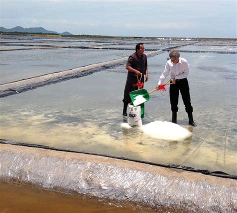New Kampot Salt Farm Has Big Ambitions The Cambodia Daily