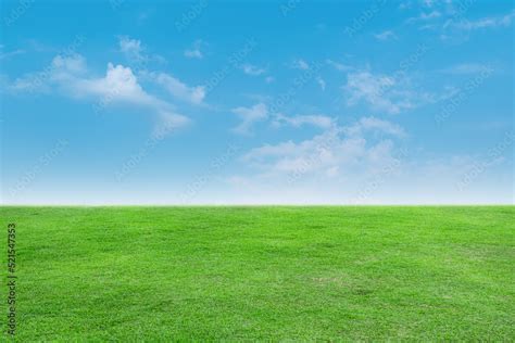 Landscape View Of Green Grass With Bright Blue Sky And Clouds