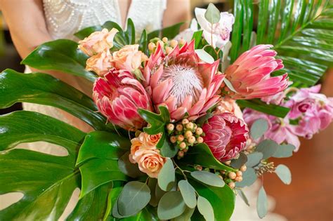 Tropical Themed Wedding Bouquet Protea And King Protea Flowers Spray