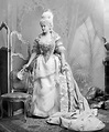 Reading Treasure: The Countess of Warwick as Marie Antoinette at the ...