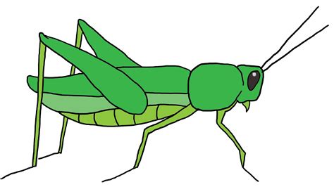 Cricket Insect Clipart Free Download On Clipartmag