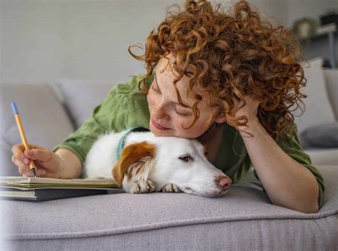 Bring Your Pet To College Reduce Stress Homesickness