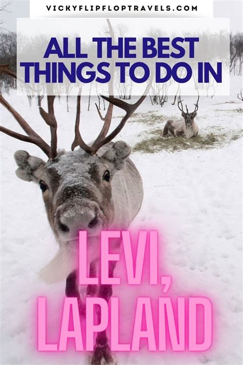 14 Coolest Things To Do In Levi Lapland Finland