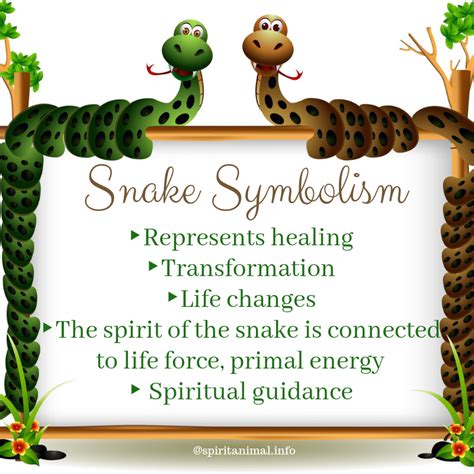 Snake Spirit Animal Totem Meaning Snake Spirit Animal Animal
