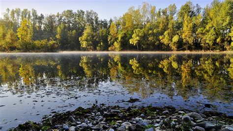 Trees Near Lake Landscape Water Trees Reflection Hd Wallpaper