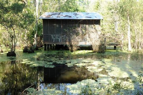 See more ideas about swamp, louisiana swamp, louisiana bayou. Cabin #2 - Picture of Wildlife Gardens Bed and Breakfast ...