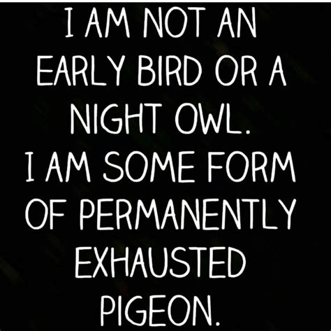 I Am Not An Early Bird Or A Night Owl Pictures Photos And Images For