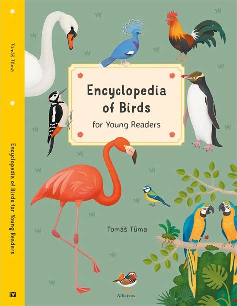 Encyclopedia Of Birds For Young Readers Encyclopedias For Young