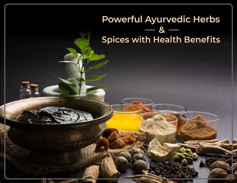 Health Benefits Of 10 Powerful Ayurvedic Herbs And Spices By Matruvedam