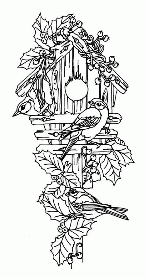 Below are printable bird coloring pages of songbirds, passerines (perching birds) and nonpasserine species. Birdhouse Coloring Page - Coloring Home