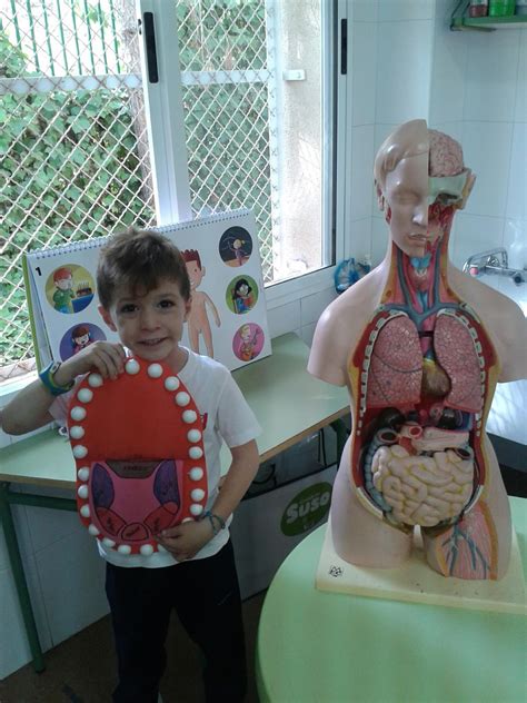 ¡espero que os guste tanto como a nosotros en clase! EDUCACIÓN INFANTIL: Proyecto "El cuerpo humano" (aula 5 ...